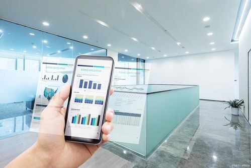 中小微企業信息化產品的五大特征解析 以信息咨詢服務為例